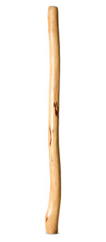 Medium Size Natural Finish Didgeridoo (TW1460)